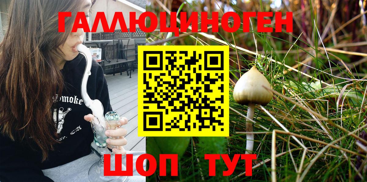 Псилоцибиновые грибы Cubensis  Галлюциногенные грибы ЛСД  как найти закладки  Ирбит  Вход с VPN 